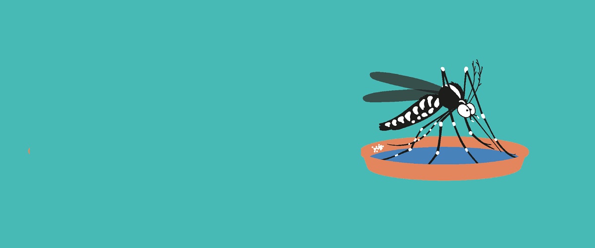 MOUSTIQUES TIGRES / FRELONS ASIATIQUES : ADOPTEZ LES BONS RÉFLEXES