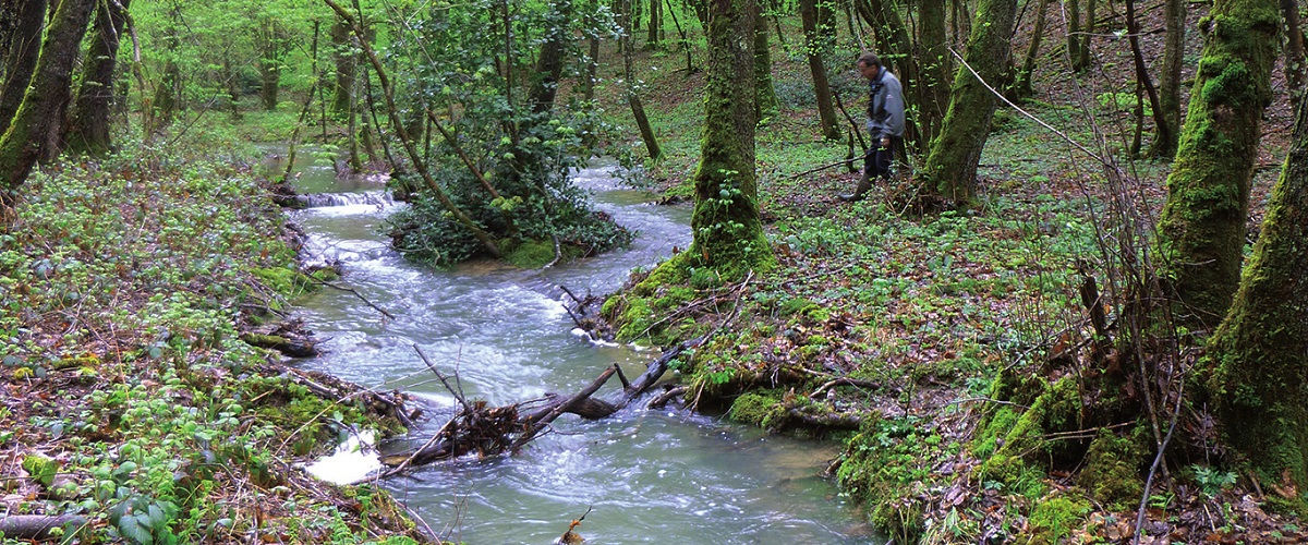 Falletans : Partez à la  découverte du  sentier des sources !